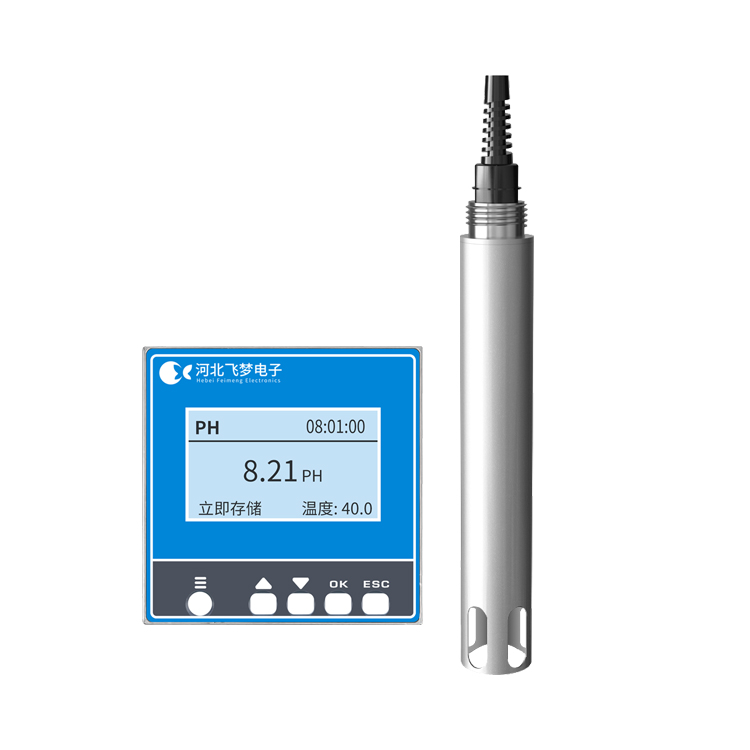 FM-ZX-PH在線PH監(jiān)測儀